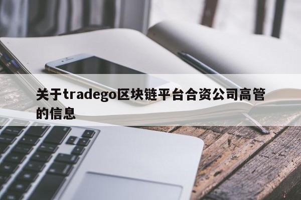 关于tradego区块链平台合资公司高管的信息